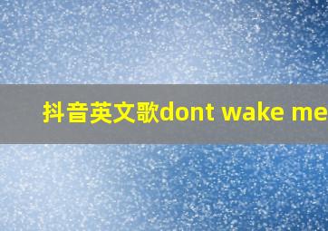 抖音英文歌dont wake me up